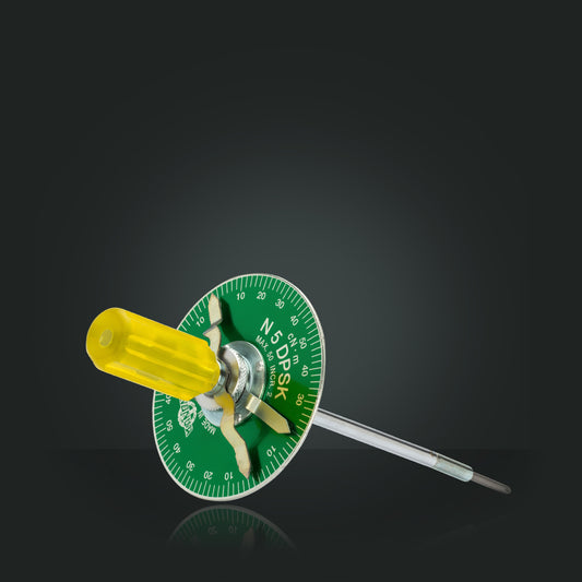 Model DPSK